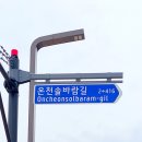 솔바람길 이미지