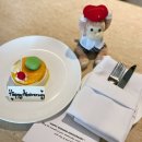 썬휘트니스클럽 | 발리 숙소 누사두아 콘래드 발리 후기｜디럭스 트윈룸 수영장 키즈클럽 조식