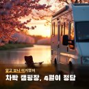 한덕이천 | 차박 캠핑장 추천 4월에 떠나기 좋은 전국 노지 명소 리스트