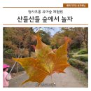 청사초롱 유아숲체험원 이미지
