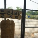 섬안농장 이미지