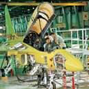 미운오리 이미지