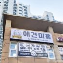 가정 펫 살롱 이미지