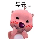 코지마 | 코지마 다리 마사지기 구매 후기 (리에너 CML-102WL)