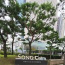 파밀리에베이커리 | 서울 근교 숙소 추천<<소노캄 고양 파밀리에 스위트 스탠다드 트리플>>후기
