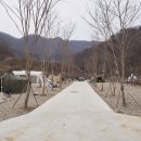 봉봉캠핑장 이미지