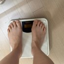 광명동 158-189 앞 | [Daily] 바쁘고 바쁜 일상 속 행복 찾기 양재천 벚꽃 벤츠녀가 된 일상 일기 XOXO 소개팅 후기