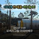 예천군청 야외 주차장 안 | 청주 바베큐 강내면 로버스그릴야외바베큐 주말후기