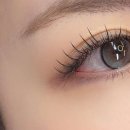 다온래쉬 - 서구 이화로25번길 12 | 다온래쉬
