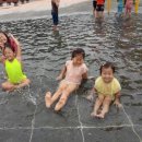 소양댐시민숲공원 이미지