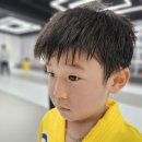 뿌리깊은나무 국기태권도 이미지
