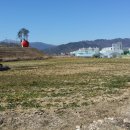 녹색농장 이미지