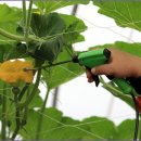 부인농원 이미지