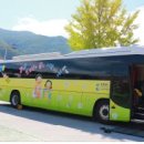 단양초등학교 충북일보