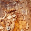 현대돌침대 이미지