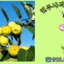 홍일농장 이미지