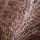 류여성의원 이미지