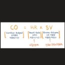 인천동물심장내과 이미지