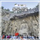 테마투어(문화예술 체험) | 중국 허난성 여행 뤄양 용문석굴 투어 가는법 입장료 위치 총정리