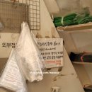청춘청과이수점