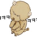 도토리펫샵 이미지