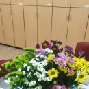 뉴스flower 이미지