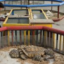 금진농장 이미지