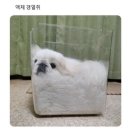 서영대학교 이미지