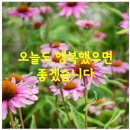 오늘도행복