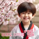 단 태권도 이미지