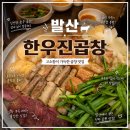 진곱창 - 성남시 분당구 황새울로258번길 32 | [발산] 발산역에 이렇게 맛있는 곱창집이 있었나!! 발산 한우 진 곱창 후기