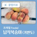 프레델 납작복숭아 거반도 도착 당일 다 먹은 후기