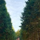 명랑목장 이미지