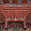 보물이네 이미지