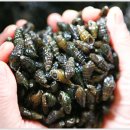 구례LPG충전소 이미지