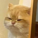 전가네 순대국 이미지