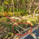 신어산 산림욕장 이미지