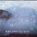 대지산업 이미지