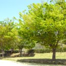 행복그자리 이미지