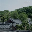 오키드고멧 안국