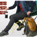 모렉스
