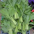 양양전통시장 이미지