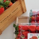 윤스팜