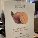 신스포레스트 이미지