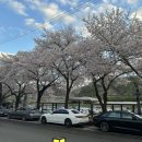 종가참숯뒷고기
