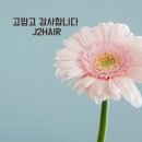 J2HAIR 이미지