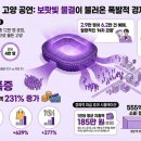 807 일요경제