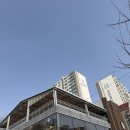 경기도 수원시 영통구 청명로 | 영통 스타벅스에서 고3 수원 위탁교육 학교 알아보기