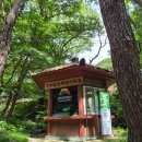 대구 가볼만한곳 비슬산 사찰 용연사
