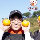 진영1호 이미지